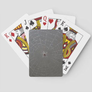Spider Playing Cards Spielkarten