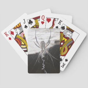 Spider Playing Cards Spielkarten