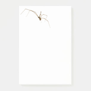 Spider Post-it Klebezettel