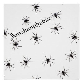 Spider Poster