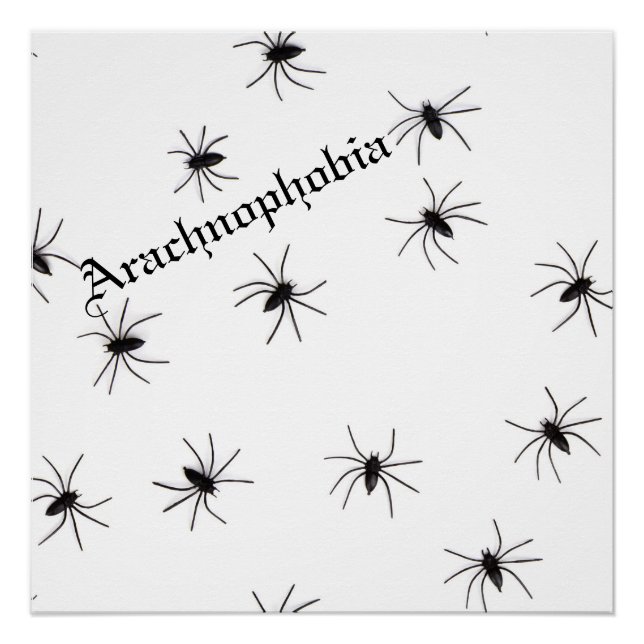 Spider Poster (Vorderseite)