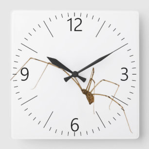 Spider Quadratische Wanduhr