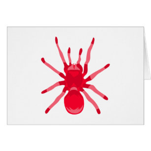 Spider (rot)