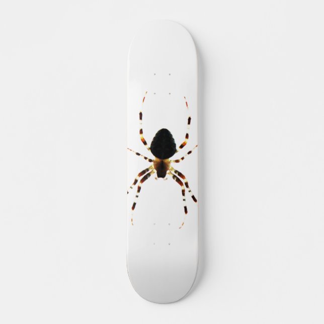 Spider sdcna skateboard (Vorne)