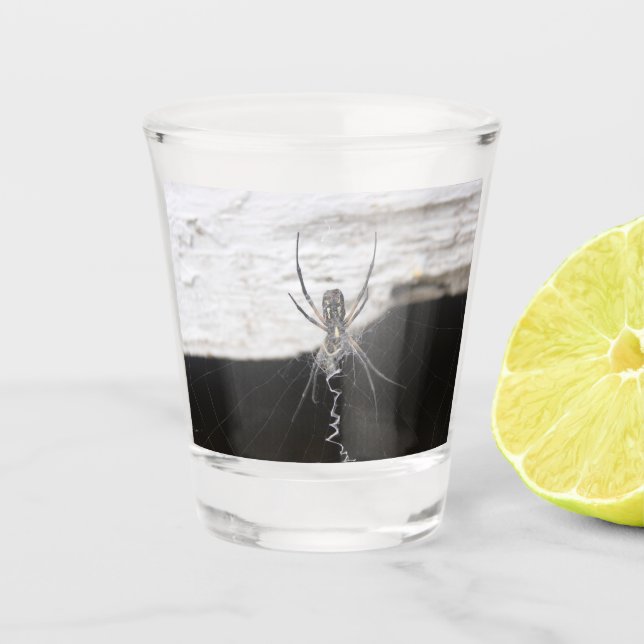Spider Shot Glass Schnapsglas (Vorderseite)