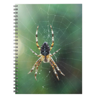 Spider Spider Notebook (80 Seiten B&W) Notizblock