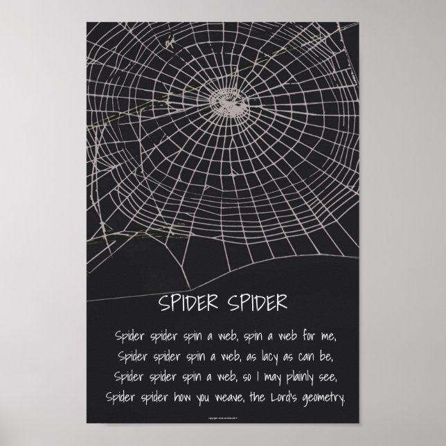 Spider Spider Poster (Vorne)