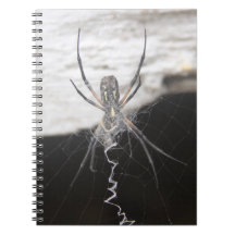 Spider Spiral Notebook