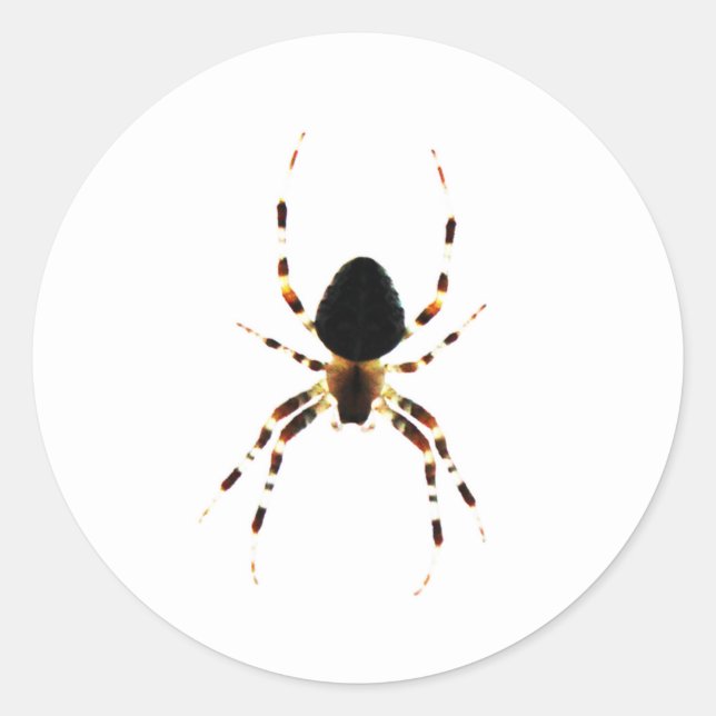 Spider st arc2 runder aufkleber (Vorderseite)