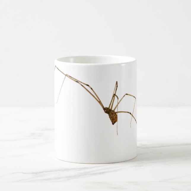 Spider Tasse (Mittel)