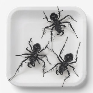 Spider-Teller 4-9 Pappteller