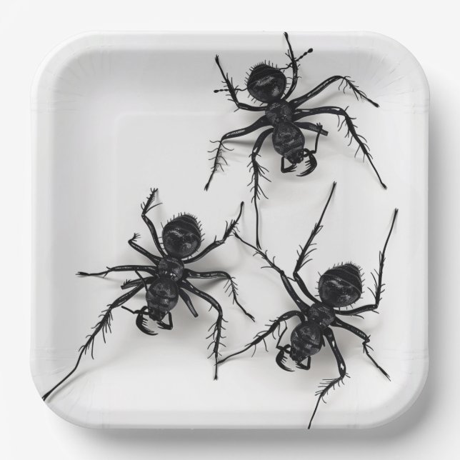 Spider-Teller 4-9 Pappteller (Vorderseite)