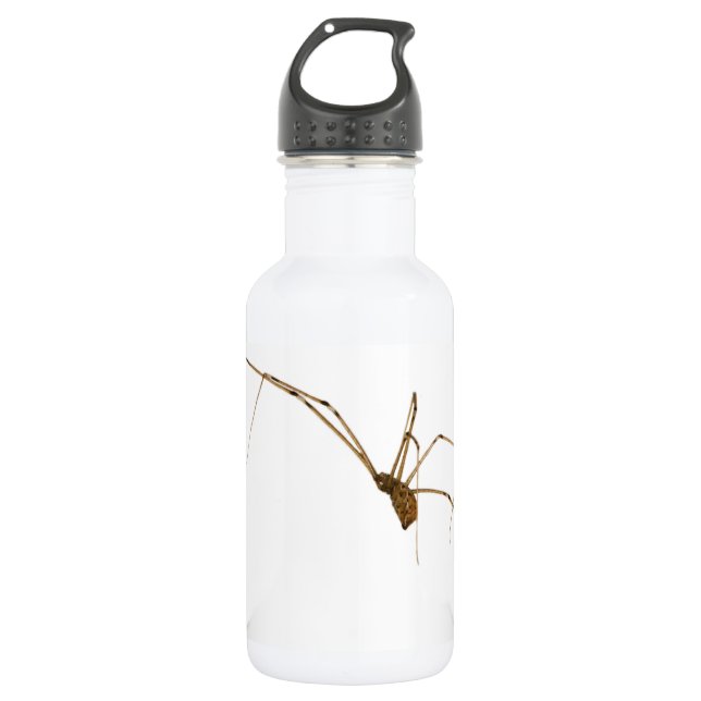 Spider Trinkflasche (Vorderseite)