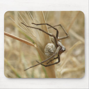 Spider und Egg Sac Mousepad