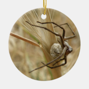 Spider und Eier Sac Custom Geburtstag Keramikornament