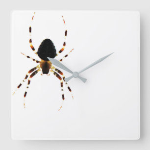 Spider Wall Clock Quadratische Wanduhr