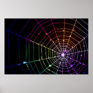 Spider Web 1 Print Poster