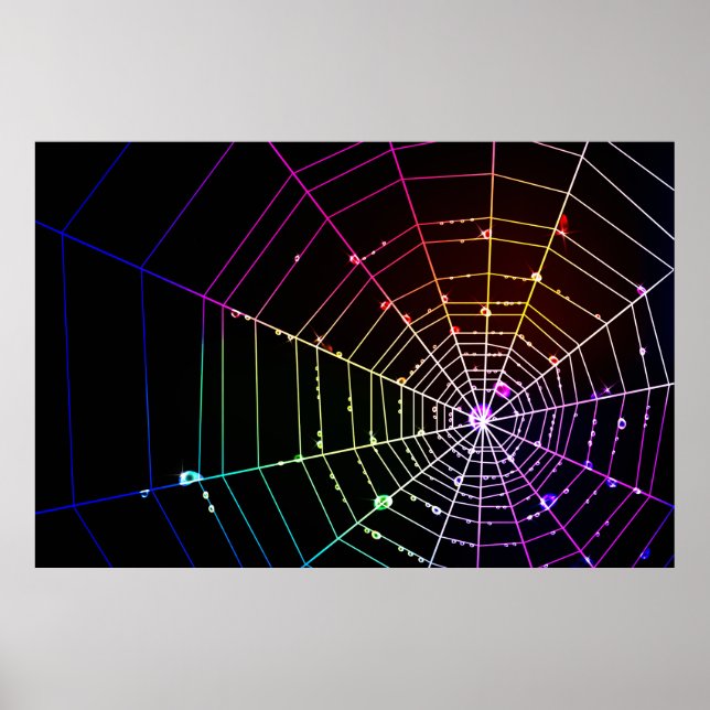 Spider Web 1 Print Poster (Vorne)