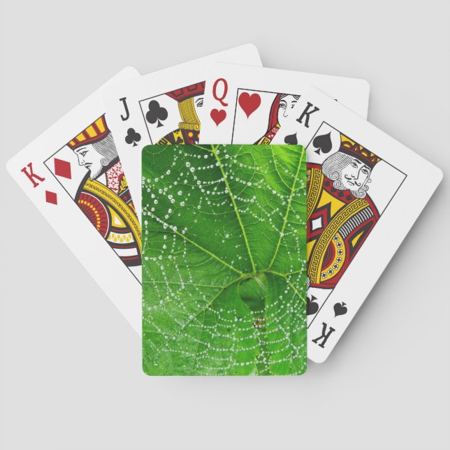 Spider Web Classic Playing Cards Spielkarten (Rückseite)