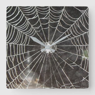 Spider Web Clock Arachnology Quadratische Wanduhr