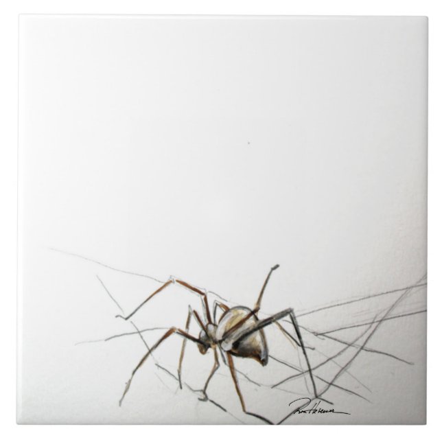 Spider Web Fliese (Vorderseite)