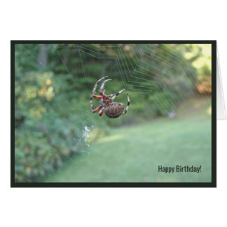 Spider Web Internet Geburtstagskarte