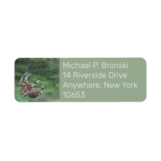 Spider web internet return address label (Vorne)