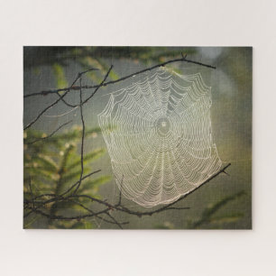 Spider Web Jigsaw Puzzle