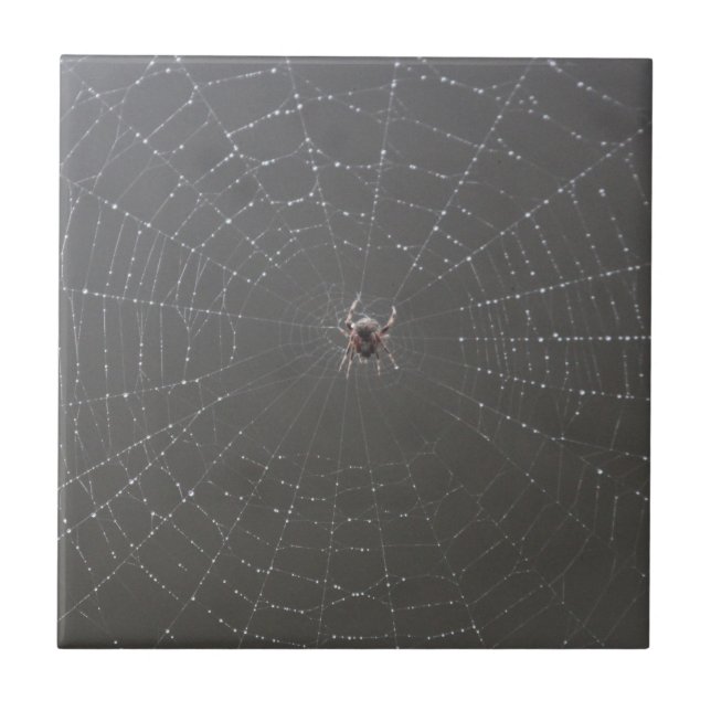 Spider Web Keramik Tiles Fliese (Vorderseite)