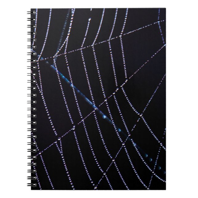 Spider Web Notizblock (Vorderseite)
