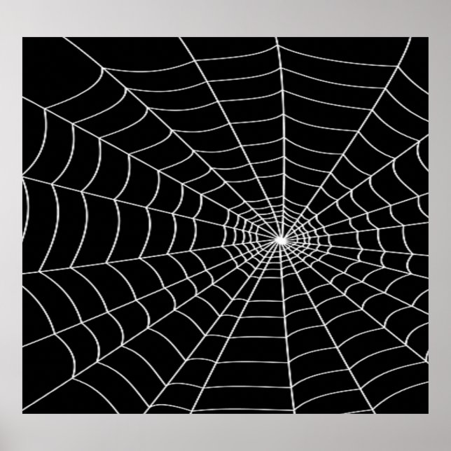 Spider Web Poster (Vorne)