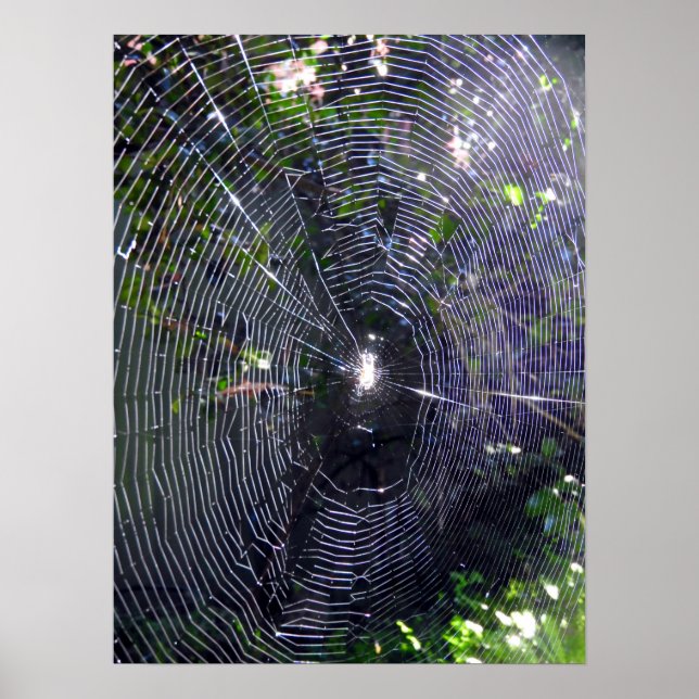 Spider Web Poster (Vorne)