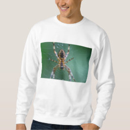 Spider Web Sweatshirt