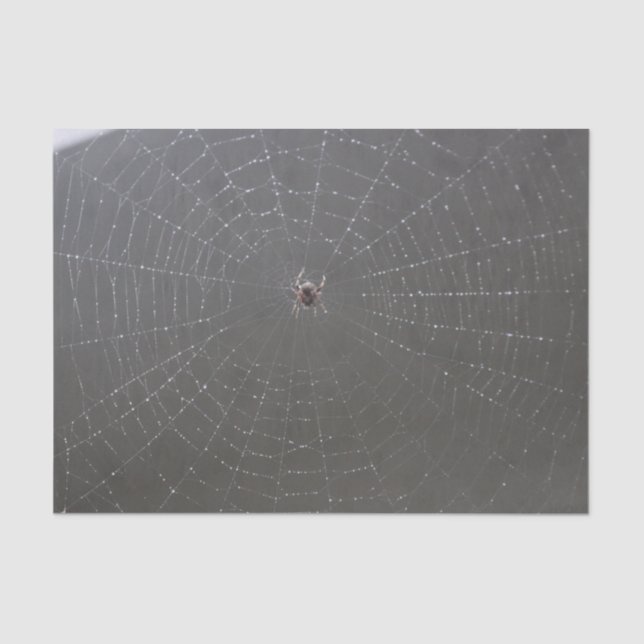 Spider Web Tissue Paper Seidenpapier (Vorderseite)