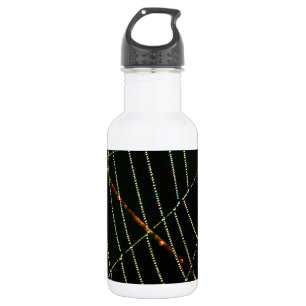 Spider Web Trinkflasche