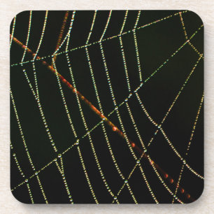 Spider Web Untersetzer