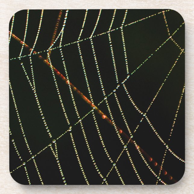 Spider Web Untersetzer (Vorderseite)