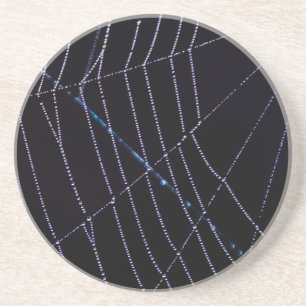 Spider Web Untersetzer