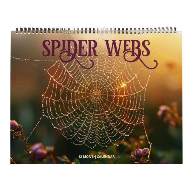 Spider Webs Kalender (Titelbild)