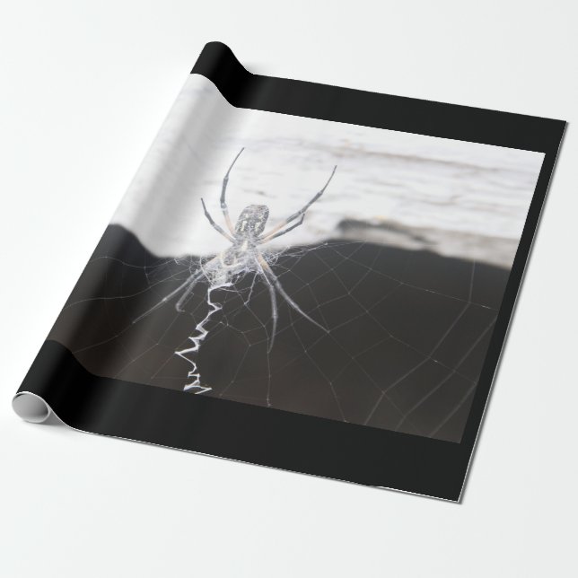 Spider Wrapping Paper Geschenkpapier (Ungerollt)