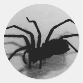Spideroo Runder Aufkleber