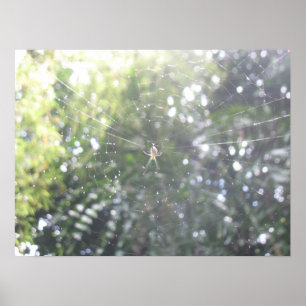 Spiders Webposter Poster
