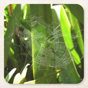 Spiderweb in tropischen Blätter Natur Rechteckiger Pappuntersetzer