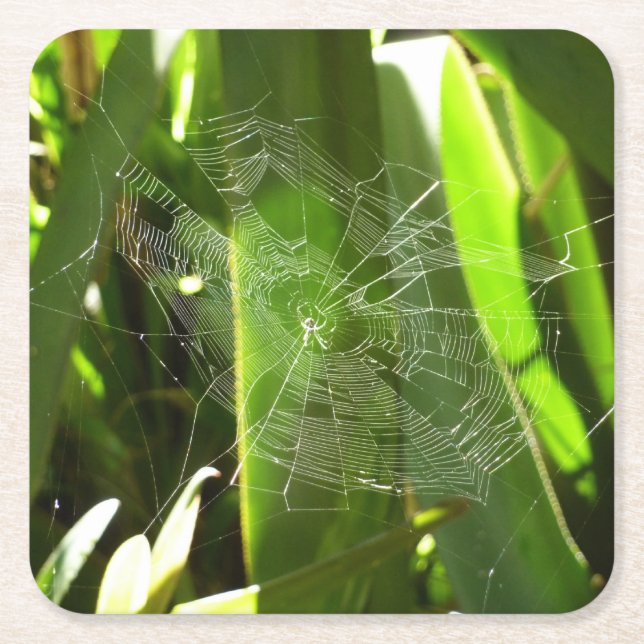 Spiderweb in tropischen Blätter Natur Rechteckiger Pappuntersetzer (Vorderseite)