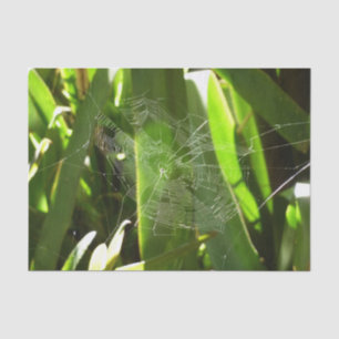 Spiderweb in tropischen Blätter Natur Seidenpapier