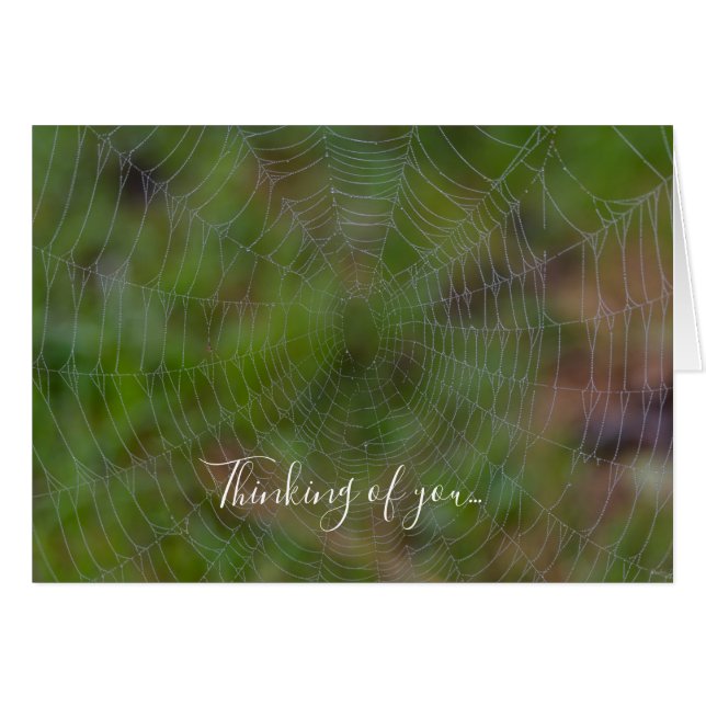 Spiderweb mit Droplets denken Sie an Ihre Karte (Vorderseite (Horizontal))