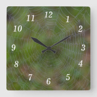 Spiderweb mit Klappenhalterung