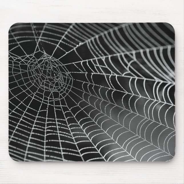 Spiderweb mousepad (Vorne)
