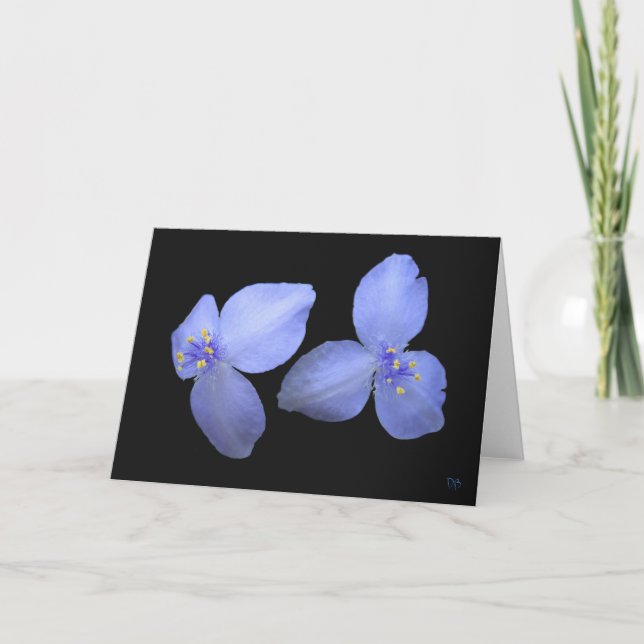 Spiderwort-Blumen-Raum-Gruß-Karten Karte (Vorderseite)