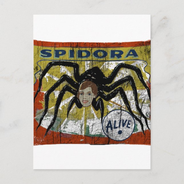 Spidora Postkarte (Vorderseite)